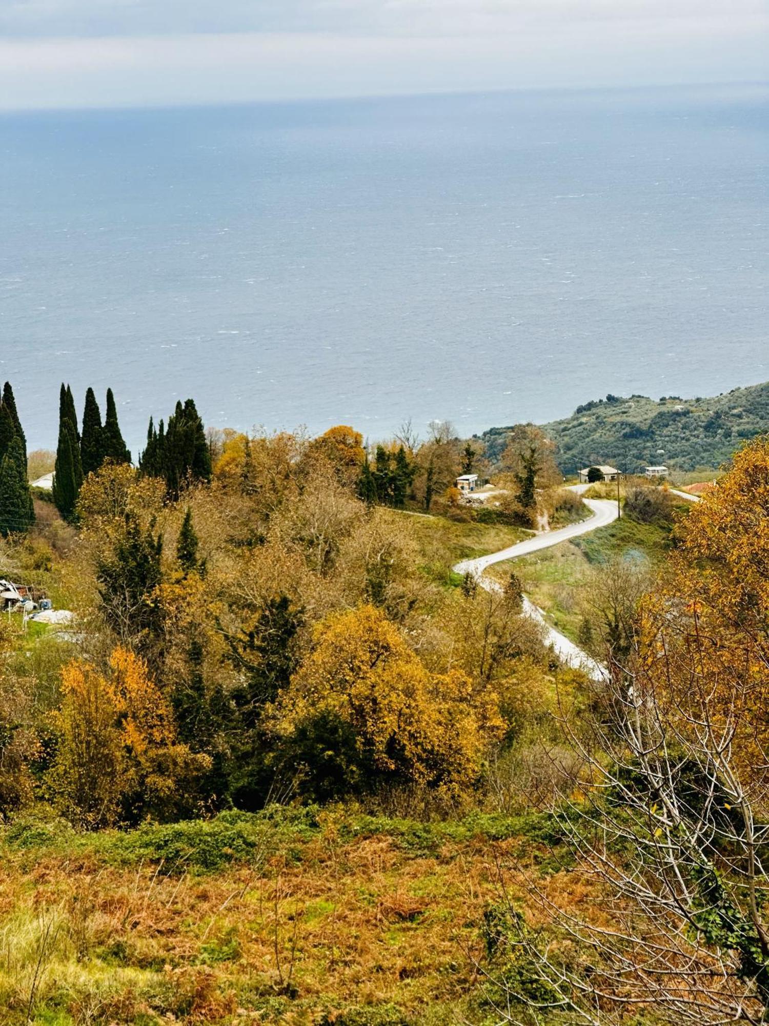 Luxury Villa At Pelion- Ruby Ζαγορά Εξωτερικό φωτογραφία